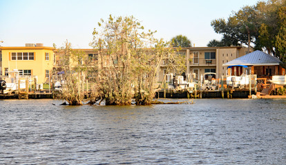 Florida inlet with tree island