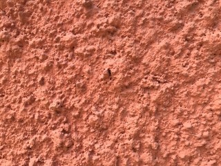 Orange rough cement surface. Cement wall. Orange congrete. Congrete wallpapers.