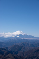 Fototapeta premium 富士山