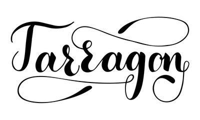 Vector hand written tarragon text isolated on white background. Kitchen healthy herbs and spices for cooking. Script brushpen lettering with flourishes. Handwriting for banner, poster, product label