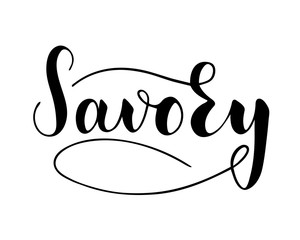Vector hand written savory text isolated on white background. Kitchen healthy herbs and spices for cooking. Script brushpen lettering with flourishes. Handwriting for banner, poster, product label