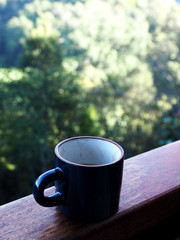 coffee cup and nature park view 