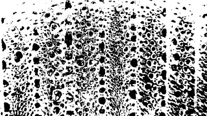 Water Drops Grunge Pattern. Black White Condensate Texture. Vector Illustration