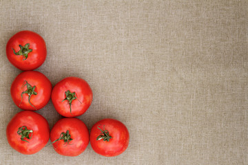 Tomatoes arranged in a line against a rustic cloth background; top down view of tomatoes arranged as a boarder