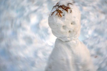 Obraz premium Bonhomme De Neige Figé Pour L'éternité.
