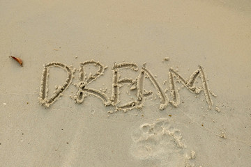 A selective focus picture of dream words on sandy beach.