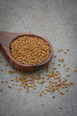 Fenugreek seeds in wooden spoon on cracked concrete texture background