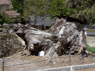 霊仙寺