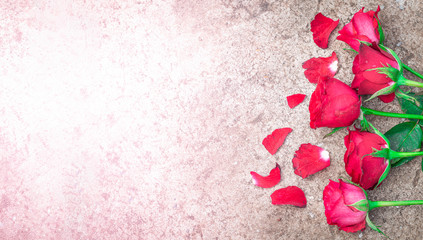Roses and rose petals on the cement background Valentine art