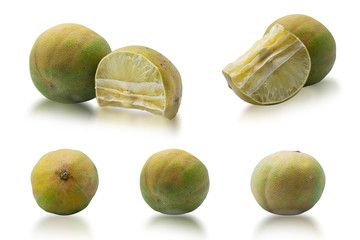withered lemon on a white background,with clipping path