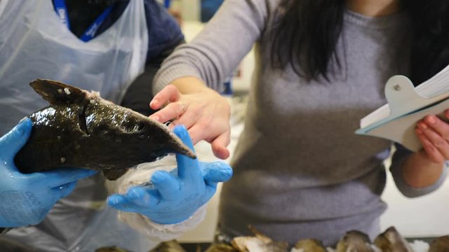Advertise, Business, Food Concept - Row of many fresh raw Mackerel fish on ice selling. Food expert in market helping customer select chilled fish for restaurant in fishery department. food sale, male