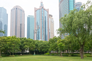 Fototapeta na wymiar city park with modern building background in shanghai
