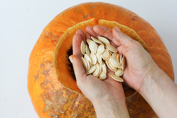 Pumpkin seeds in woman hands taken from inside of pumpkin on the white background