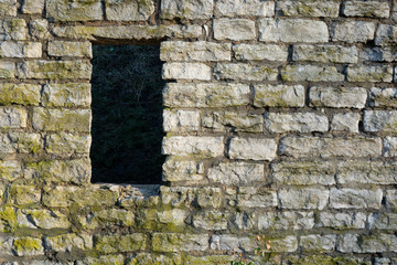 Fragment of the wall of the old fortress. Gray stone blocks are covered with mold. A fragment of a hill covered with grass is visible behind a rectangular window. Background. Texture.