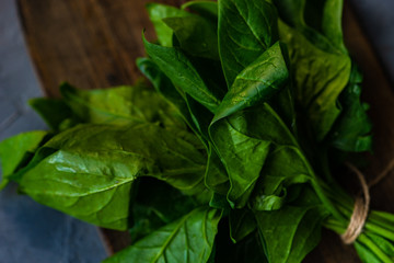 Organic food concept