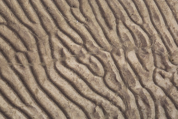 texture of sand