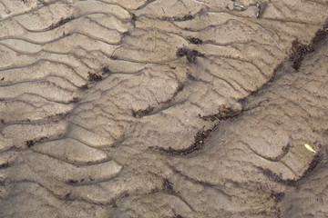 dry ground