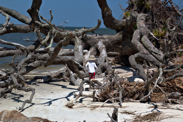 Small boy exploring along the coast of an island