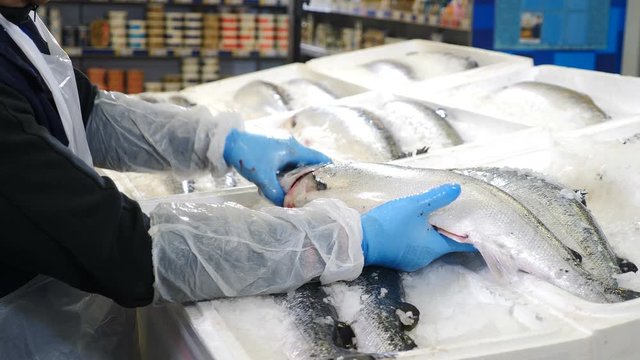 Fresh Sea Fish in Ice On Counter Market. Seafood market. Fish is sold in fish department of supermarket . Fish market in coastal coutries. Close up. 4 k shot