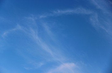 blue sky with white feather clouds