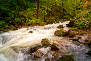 Fototapeta premium refeshing waterfall in autumn season of fukushima japan