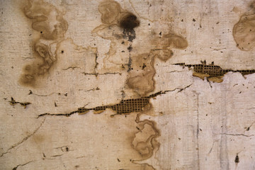 old paper background