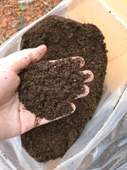 Organic fertilizer bat guano on hand.