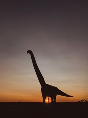 silhouette of giraffe in sunset