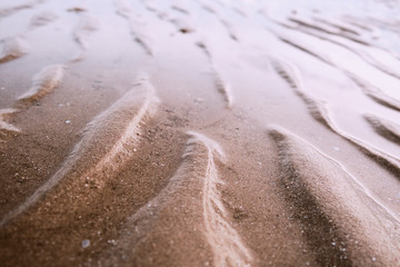 Ripple Patterns in the Sand on a Beach in Thailand