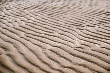 Ripple Patterns in the Sand on a Beach in Thailand