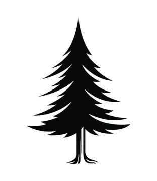 illustration of a black pine tree vector 