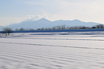 Obraz premium 金峯山（きんぼうざん）／ 山形県の庄内海浜県立自然公園内にあり、国指定名勝として指定されている金峯山は、標高459mです。山頂からの景観は、鶴岡市内を見下ろすことができ絶景です。