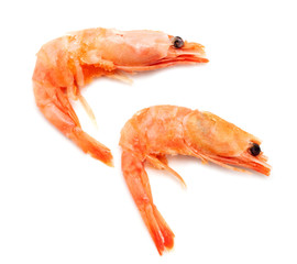 Red shrimp isolated on a white background