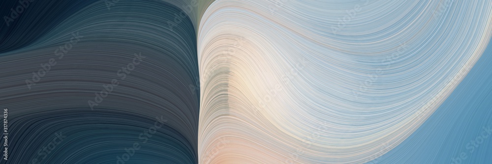 Fototapete dynamic designed horizontal header with silver, dark slate gray and cadet blue colors. dynamic curved lines with fluid flowing waves and curves