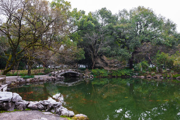 river in the forest with bridge