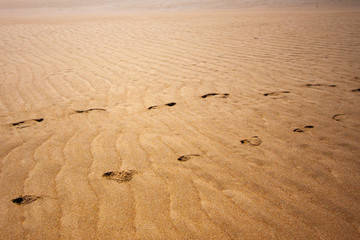A desert area, two lines of traces of humans feet go to the horizon. Makey, Queensland, Australia.