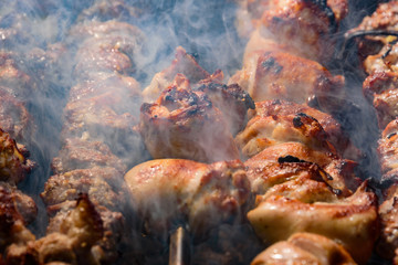 Obraz na płótnie Canvas Shish kebab roasting on the grill