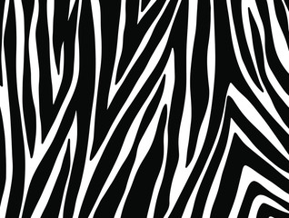 zebra skin texture