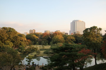 Obraz premium 都心のある日本庭園