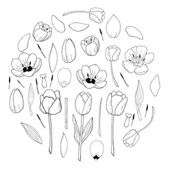 circle of tulips set vector in black and white that consists tulip elements. Construct your own tulip wreath. Elements for constucting easter cards