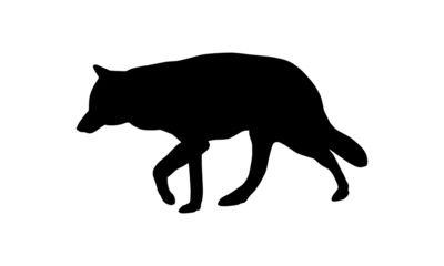 Wolf Silhouette