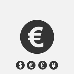 euro currency icon