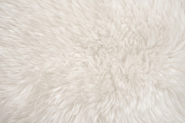 White real wool with beige top texture background. light cream natural sheep wool.  seamless plush cotton, texture of fluffy fur for designers