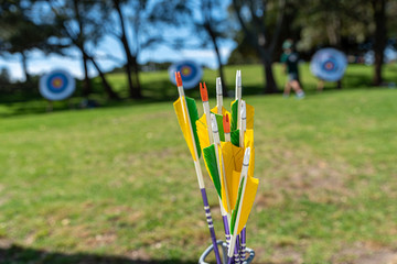 archery arrows in front of a target