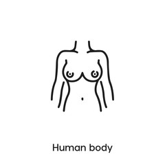 human body icon vector . human body sign symbol
