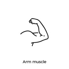 arm muscle icon vector . arm muscle sign symbol