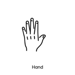 hand icon vector . hand sign symbol