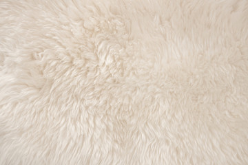 White real wool with beige top texture background. light cream natural sheep wool.  seamless plush...