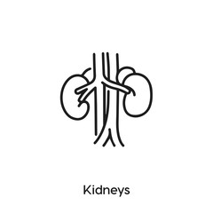 kidneys icon vector . kidneys sign symbol