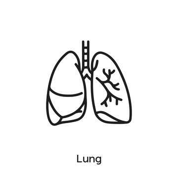 Lung Icon Vector. Lung Icon Vector Symbol Illustration. Modern Simple Vector Icon For Your Design. Lung Icon Vector	